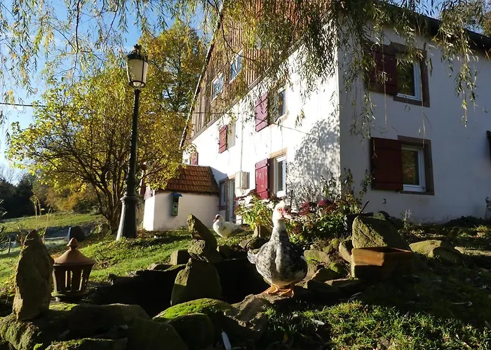 住宿加早餐酒店 La Grange Du Kerala 2*